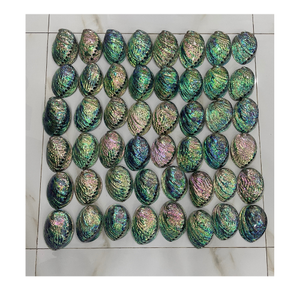 การตกแต่งอัญมณีที่ดี-หอยเป๋าฮื้อสำหรับวันหยุดเพิ่มความเงางามให้กับงานเฉลิมฉลองของคุณด้วยคริสตัลเปลือกหอยเป๋าฮื้อ - Product Image 1