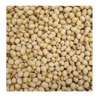 Vente en gros de soja biologique non-OGM, soja jaune, graines de soja