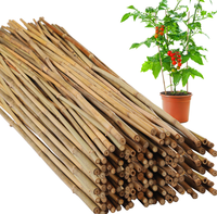 Bâton de support de jardin naturel en bambou pour plantes, arbres et légumes | Fourniture de jardinage écologique durable