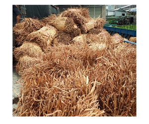 Vietnam Raw <b>Water</b> Hyacinth for Decoration, <b>Bulk</b> Supply, Natural, High Quality, Export-Ready/Eco-Friendly Raw <b>Water</b> Hyacinth - Product Image 1