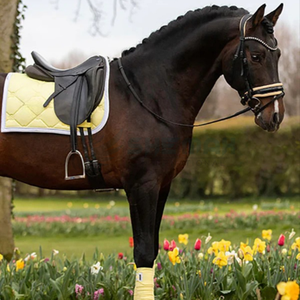 Horse <b>Saddle</b> Pad High Quality Soft Padded English Breathable Quilted Durable Design for Comfort and Style <b>Saddle</b> Pads OEM - Product Image 3