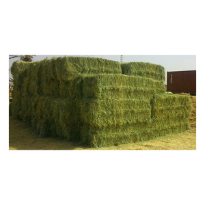 Large quantity Rhodes <b>grass</b> hay quality <b>dried</b> <b>grass</b> prepared for wholesale shipment orders - Product Image 2