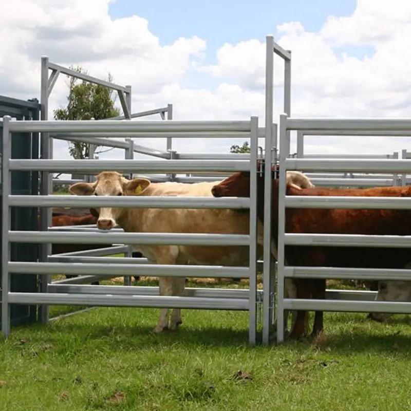 Paneles de corral de acero y metal galvanizado de 6 pies y 12 pies Paneles de ganado Paneles de valla de caballos Puerta de ovejas