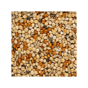 Graines à canaris en vrac stock disponible pour les marchés internationaux - Product Image 5