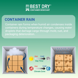 Desecante de Arcilla Seca en Envase de 1000g - Defensa Definitiva Contra la Humedad y el Moho, Hecho en Bangladés (Envío de Carga Marítima) - Product Image 2