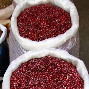 IQF frozen kidney beans Premium bulk wholesale beans Speckled kidney beans supply Frozen beans for food industry - Product Image 1