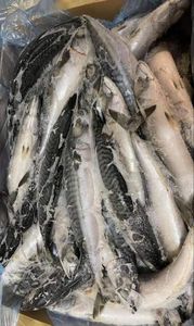 Caja de embalaje baja en grasa de pescado de salmón entero congelado Grado a - Product Image 4