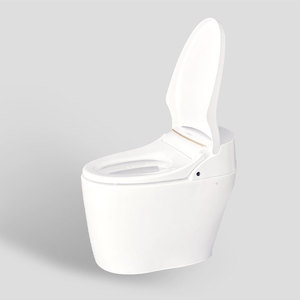TREVI TST-DX5R00RS_D1 роскошный Интеллектуальный экологически чистый умный туалет «Все в одном» из нержавеющей стали, биде, автоматическая промывка, удлиненная Корейская - Product Image 1