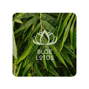 MEILLEUR PRIX Feuilles de bambou de lotus bleu 2025 Feuilles séchées naturelles Pack - Product Image 1