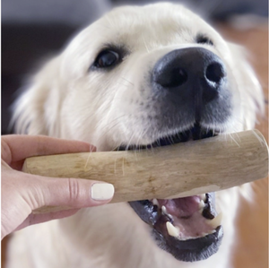 Palo de madera natural para masticar perros de café de Vietnam para entrenamiento de masticación y alivio de mordidas para cachorros y perros adultos - Product Image 6