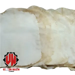 Pieles NATURALES DE CABRA PARA Djembes Tambores de chamán africanos y Bodhrans Uso completo de la cabeza de animal - Product Image 1