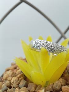 แหวนแต่งงานโซลิแทร์คลาสสิกสำหรับผู้หญิงแหวนเพชรที่ปลูกในห้องแล็บ VVS ขนาด14K/18K สีขาวทองของขวัญสำหรับปาร์ตี้ได้รับการรับรอง - Product Image 6