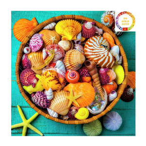 Conchas marinas naturales de Vietnam Colección mixta Estrella de mar Caracol de mar y conchas de vieiras para decoración de estilo costero - Product Image 1