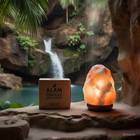 Lampe de sel de l'Himalaya sculptée sur mesure, best-seller, écologique, design croix florale Feng Shui, animaux, amour, lettres religieuses, pour la maison