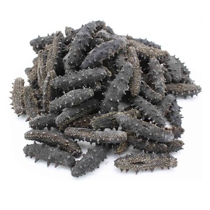 โรงงานและผู้จัดจำหน่ายปลิงทะเลแห้งขายส่ง - Product Image 6
