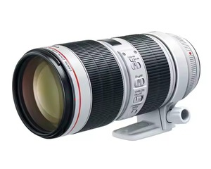 Objetivo de la Mejor Calidad EF 70-200 mm F/2.8L IS III USM - Product Image 1