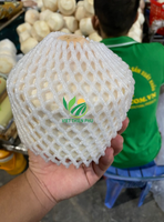 Hot Product van de Maand - VIET THIEN PHU Biologische Jonge Verse Kokosnoot - Hele Schil - Premium Kwaliteit - Gratis Sample
