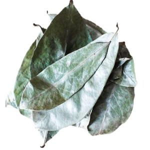 Un alimento seguro y saludable, Hojas de Guanábana para aumentar la salud general, precio barato de VIETNAM - Product Image 1