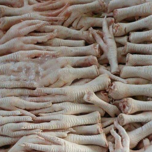 ขายส่งตีนไก่ฮาลาล / ตีนไก่แช่แข็งจากบราซิล / ปีกไก่สดและตีนไก่ - Product Image 4