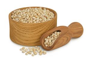 Grains de sorgho blanc séchés de qualité supérieure en provenance des Pays-Bas en vrac pour la consommation humaine et l'utilisation agricole - Product Image 4