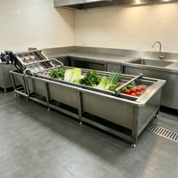 Hoogfrequente vibratie fruit- en groentewasmachine Witte fruit- en groentewasmachine