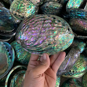 เปลือกหอยเป๋าฮื้อขัดเงาคุณภาพสูงจากเวียดนามสำหรับการทำเครื่องประดับแบบทำมือและใช้ตกแต่งบ้าน - Product Image 1