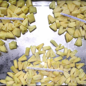 Tranches d'ananas surgelées, douceur naturelle, emballage en vrac, fruits transformés IQF, collation - Product Image 6