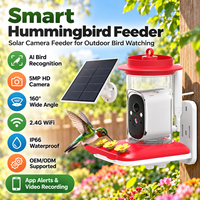 Caméra de surveillance des oiseaux avec mangeoire intégrée, prise en charge CE FCC RoHS OEM ODM, pour l'observation des oiseaux en extérieur, audio bidirectionnel, WiFi 2.4G