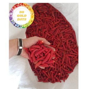 Chiles congelados en forma triturada para fabricantes de alimentos y productores de condimentos Vietnam Origin Premium Red Chilli - Product Image 1