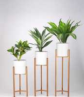 Moderno Soporte de Metal Dorado Nórdico para Plantas, Estante Ecológico para Jardín Interior, Exhibidor de Piso