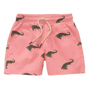 Logo personnalisé Fitness hommes Shorts de bain séchage rapide plaine Shorts de plage pour hommes survêtement Street Shorts de bain hommes respirant - Product Image 1