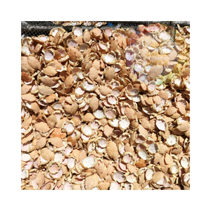 เปลือกปูเวียดนาม: คุณภาพสูงในราคาที่เป็นมิตรกับงบประมาณ - Product Image 3