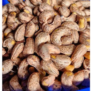 Vietnam Trusted Supplier of Roasted Salted Cashew Nuts in Shell OEM Service Cashew Nuts Wholesale - Product Image 1