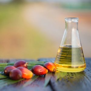 Huile de cuisson de palme raffinée de qualité alimentaire inodore sans OGM pour l'exportation vers l'Afrique et le Moyen-Orient - Product Image 5