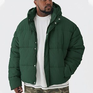 Veste d'hiver matelassée à col cheminée en coton décontractée de haute qualité avec fermeture éclair, tissu chaud, design bicolore pour hommes - Product Image 1