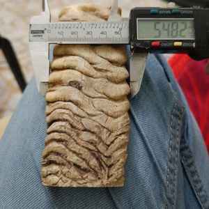 ด้ามมีดทำมือจากเขาควายคุณภาพพรีเมียม ทนทาน สวยงาม แผ่นลายสเกล โดดเด่นไม่เหมือนใคร ขัดเงาจากเขาแกะและเขาแพะดิบ - Product Image 6