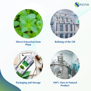 Wholesale Bulk 100% Pure and Natural Spearmint <b>Essential</b> <b>Oil</b> Customized Packaging Low Price - Product Image 4