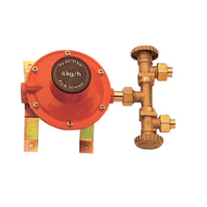 ชุดควบคุมแก๊สแบบแยกส่วน 2 หัวจ่าย 4 กิโลกรัมต่อชั่วโมง รุ่นเล็ก - Product Image 1