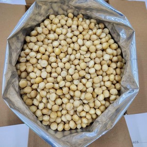เม็ดมะคาเดเมียธรรมชาติคุณภาพสูง พรีเมียม เหมาะสำหรับของว่าง เบเกอรี่ ขนมหวาน และอุตสาหกรรมอาหาร ขายส่งจากเวียดนาม - Product Image 1