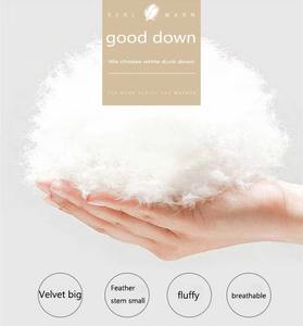 Veste matelassée matelassée pour femmes de style le plus récent avec broderie tissu à mémoire imperméable respirant fini conception de bulles d'hiver - Product Image 6