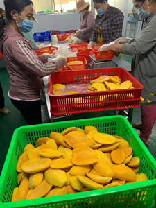 IQF แพ็คมะม่วงแช่แข็ง/ลูกเต๋า/ชิ้นผลไม้หวานเพื่อสุขภาพส่งออกน้ำสูญญากาศขายส่ง-caryln - Product Image 6