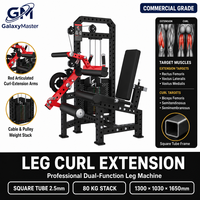 Équipement de fitness de haute qualité pour extensions et flexions des jambes / extensions des jambes