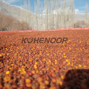 Estallido de bayas de espino amarillo seco naranja y nutrición - Product Image 5