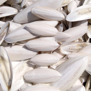 Ietham-uttlefish, accesorio de 100% N - Product Image 1