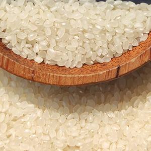 Hikari Sushi Japonica riz blanc à grains courts/ronds riz séché collant aromatique de haute qualité 4.5kg sac en gros dur exportation bon marché - Product Image 6