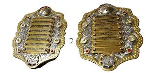 Cinturones de Campeonato Personalizados! Cinturón de Lucha Libre Internacional IWGP - Product Image 3