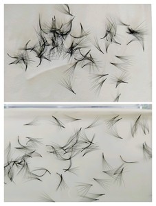 Extensions de cils synthétiques préfabriquées Nhu Y Eyelash NY7D, volume intense, modèle facile, usage quotidien, fabricant vietnamien, meilleures ventes - Product Image 4