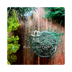 Feuilles d'aneth séchées PREMIUM naturellement aromatiques riches en saveurs et en nutriments, parfaites pour assaisonner les soupes, les salades et les plats de fruits de mer - Product Image 1