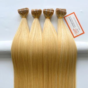 <b>Russian</b> Remy Vietnamese Hair Extensions Double Drawn Tape in Factory Wholesale Price - Product Image 4