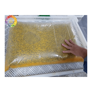 Pulpa de Maracuyá Congelada con Semillas o sin Semillas/Puré de Maracuyá Fresco con Sabor Tropical de Alta Calidad al Mejor Precio - Product Image 1